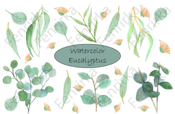 Bundle of Watercolor Eucalyptus. Digital Illustrations