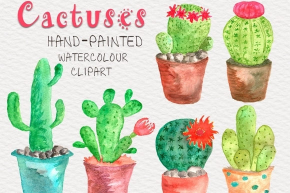 Cactuses Watercolor Collection and Illustrations