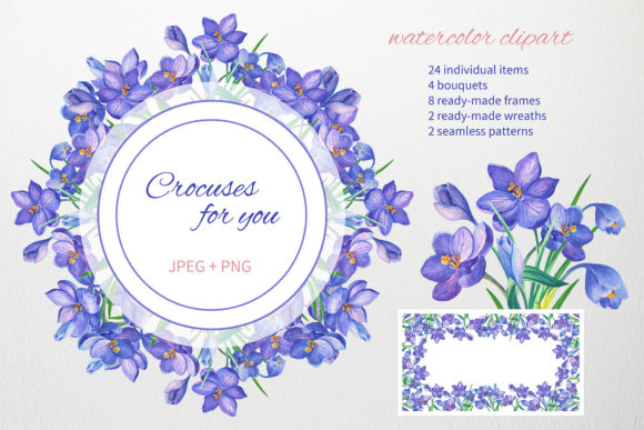 Crocuses for You. Watercolor Clipart