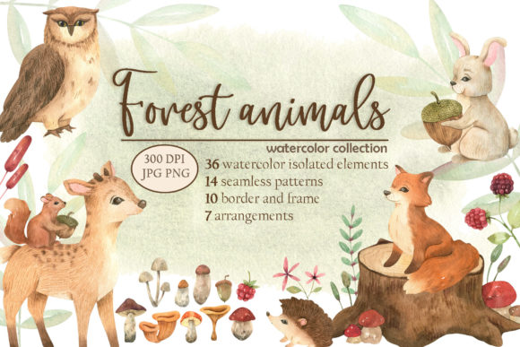 Forest Animals Watercolor Collection