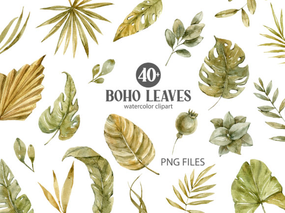 Watercolor Boho Tropical Leaves Clipart and Illustrations