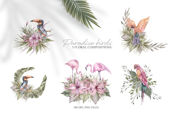 Watercolor Floral Tropical Birds Clipart and Illustrations