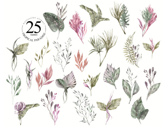 Watercolor Tropical Green Leaves Clipart and Illustrations