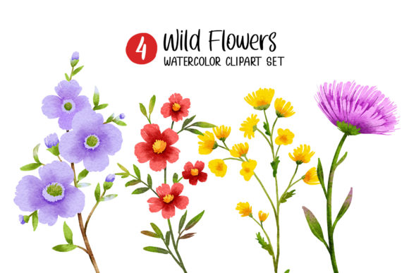 Wild Flowers Watercolor Elements Clipart and Illustrations